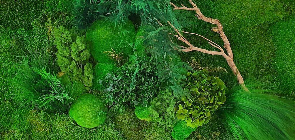 ECT-Groen Luxev3